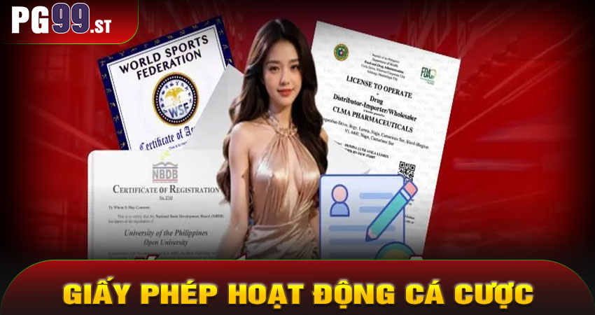 Giấy phép hoạt động cá cược trực tuyến